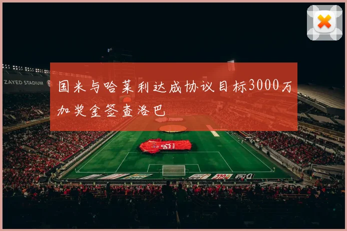 国米与哈莱利达成协议目标3000万加奖金签查洛巴