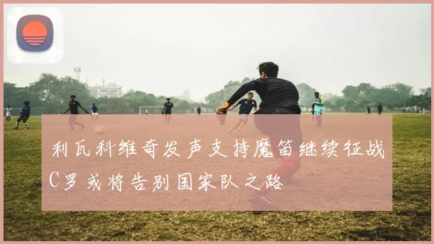 利瓦科维奇发声支持魔笛继续征战C罗或将告别国家队之路